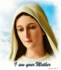 Mary Mediatrix of All Grace